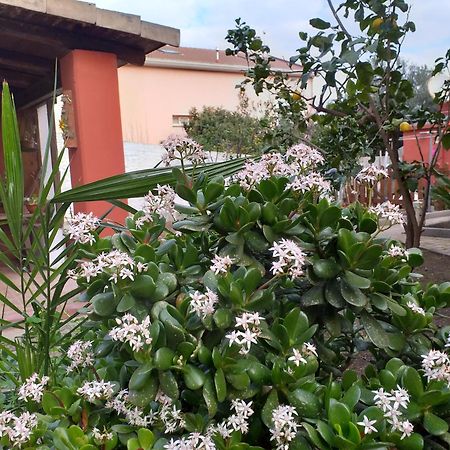 I Due Ciuchini Sardinia Apartment Sassari Luaran gambar